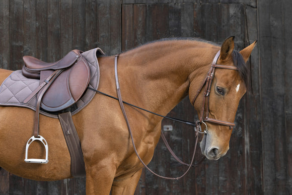Enrênement élastique NORTON - JoliJump, Sellerie et Equipements pour Cheval