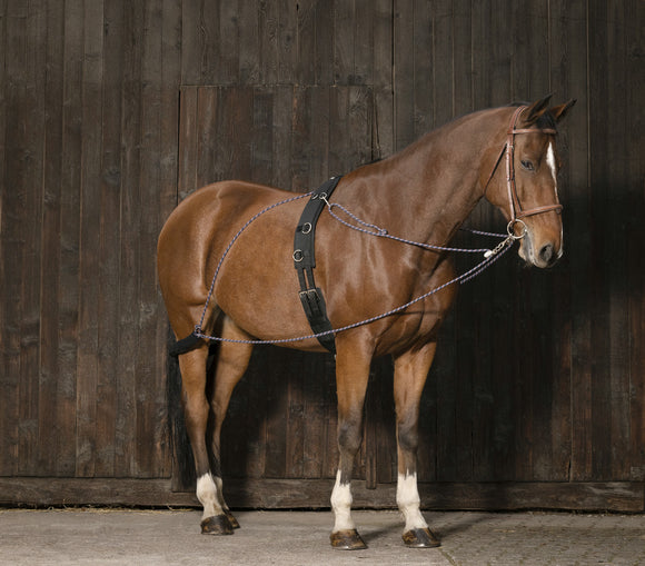 Enrênement à Poulies NORTON - JoliJump, Sellerie et Equipements pour Cheval