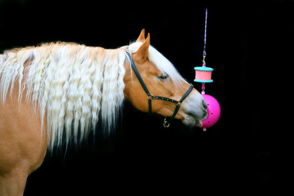 Support Boredom Breaker LIKIT - JoliJump, Sellerie et Equipements pour Cheval