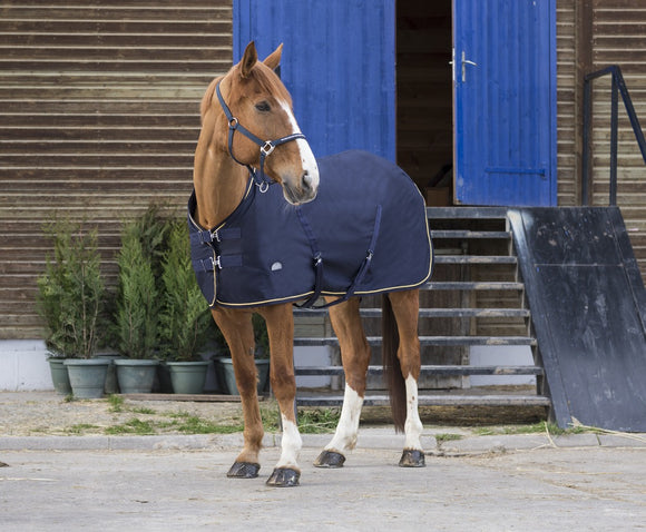 Chemise coton Chic EQUITHÈME - JoliJump, Sellerie et Equipements pour Cheval