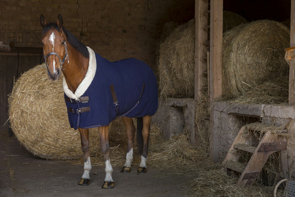 Chemise Polaire Teddy EQUITHÈME - JoliJump, Sellerie et Equipements pour Cheval