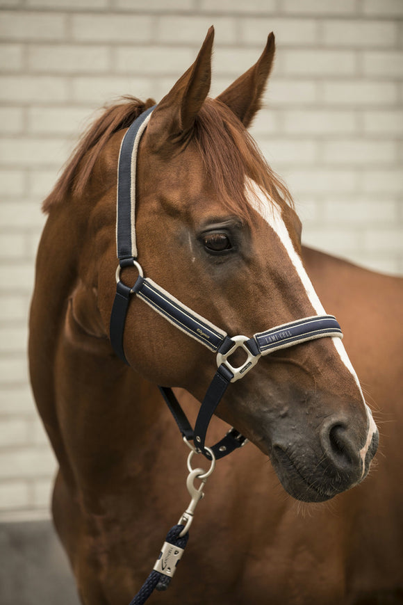 Licol Elégance LAMI-CELL - JoliJump, Sellerie et Equipements pour Cheval