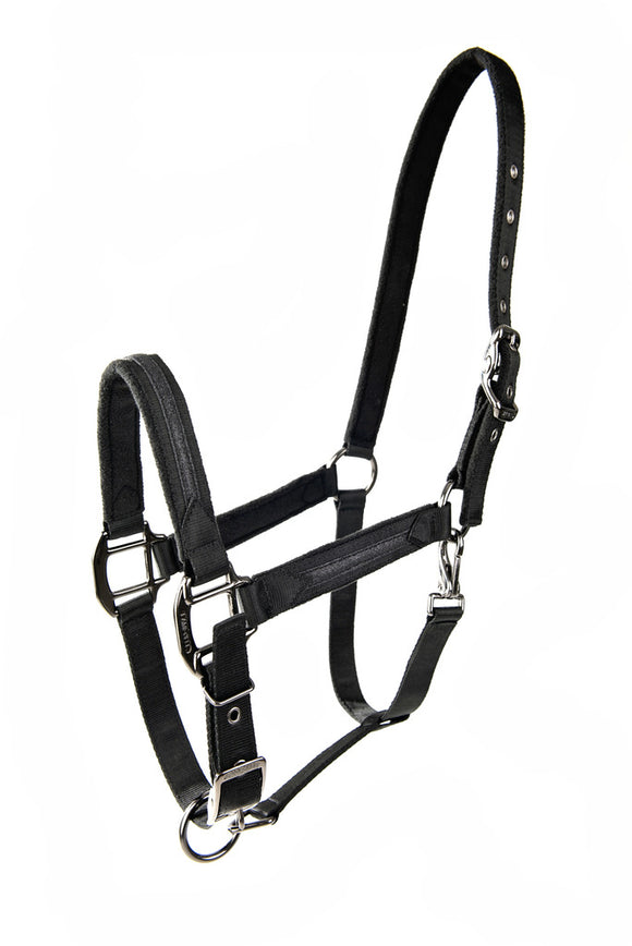 Licol Sparkling LAMI-CELL - JoliJump, Sellerie et Equipements pour Cheval