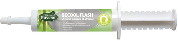 Becool Flash RAVENE - JoliJump, Sellerie et Equipements pour Cheval