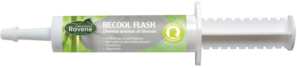 Becool Flash RAVENE - JoliJump, Sellerie et Equipements pour Cheval