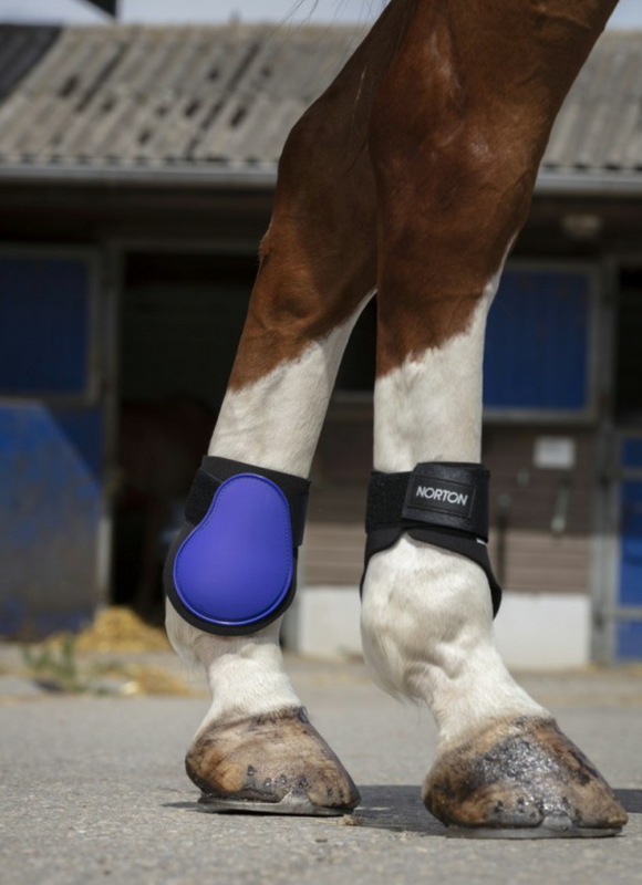 Protèges-boulet NORTON - JoliJump, Sellerie et Equipements pour Cheval