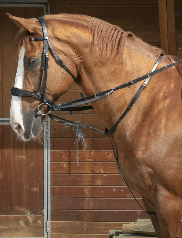 Majestic Ally Stall pour cheval avec rênes, bandeau rembourré Majestic Ally Stall pour cheval avec rênes, bandeau rembourré
