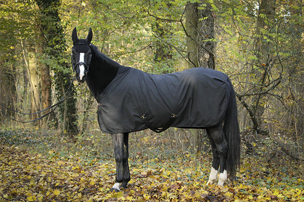 Chemise Rip-stop PADDOCK SPORT - JoliJump, Sellerie et Equipements pour Cheval