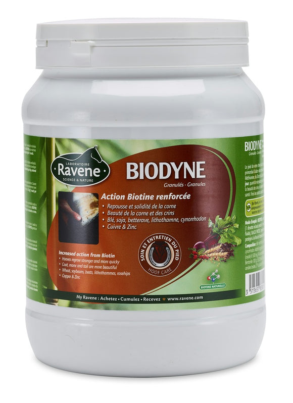 Biodyne RAVENE - JoliJump, Sellerie et Equipements pour Cheval