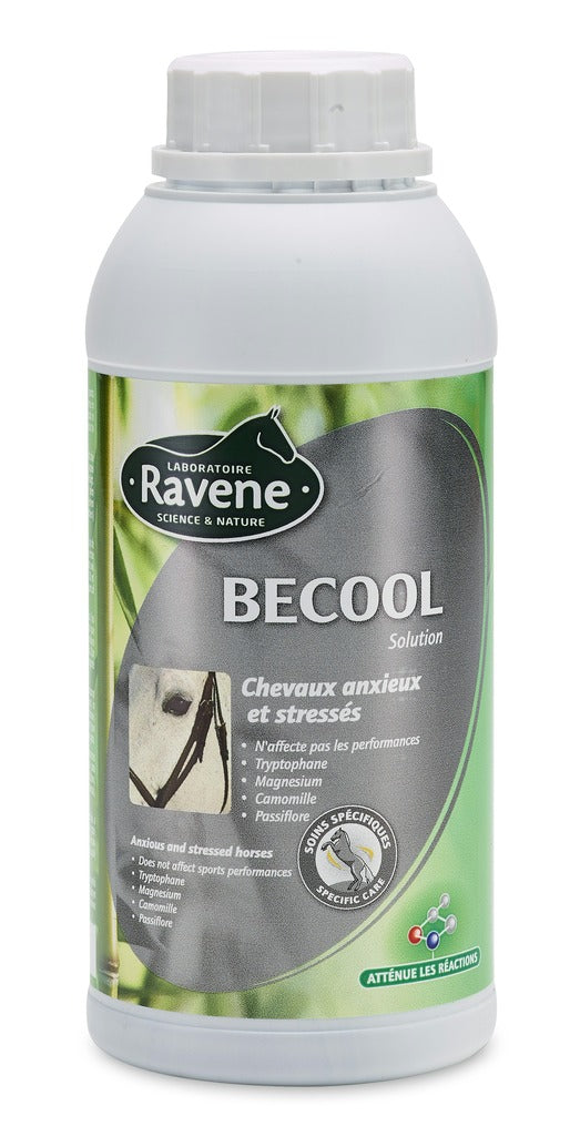 Becool RAVENE - JoliJump, Sellerie et Equipements pour Cheval