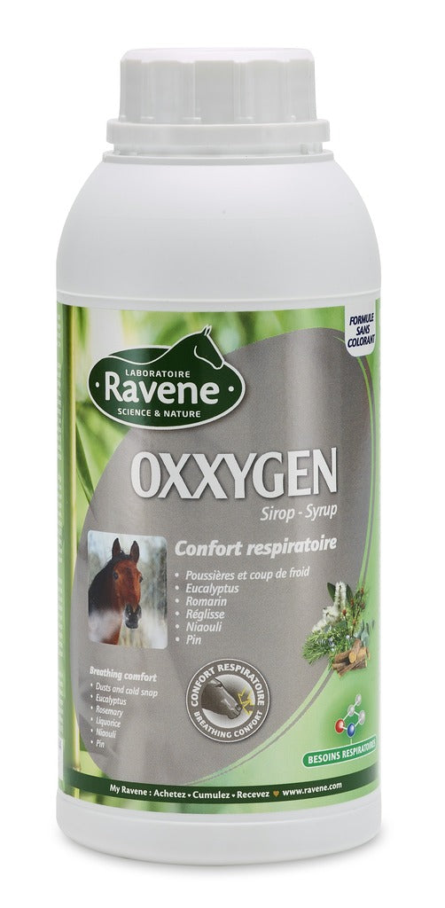 Oxxygen RAVENE - JoliJump, Sellerie et Equipements pour Cheval