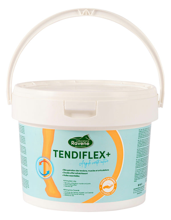 Argile Tendiflex + RAVENE - JoliJump, Sellerie et Equipements pour Cheval