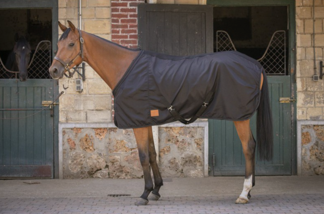 Chemise Mesh Light PADDOCK SPORT - JoliJump
